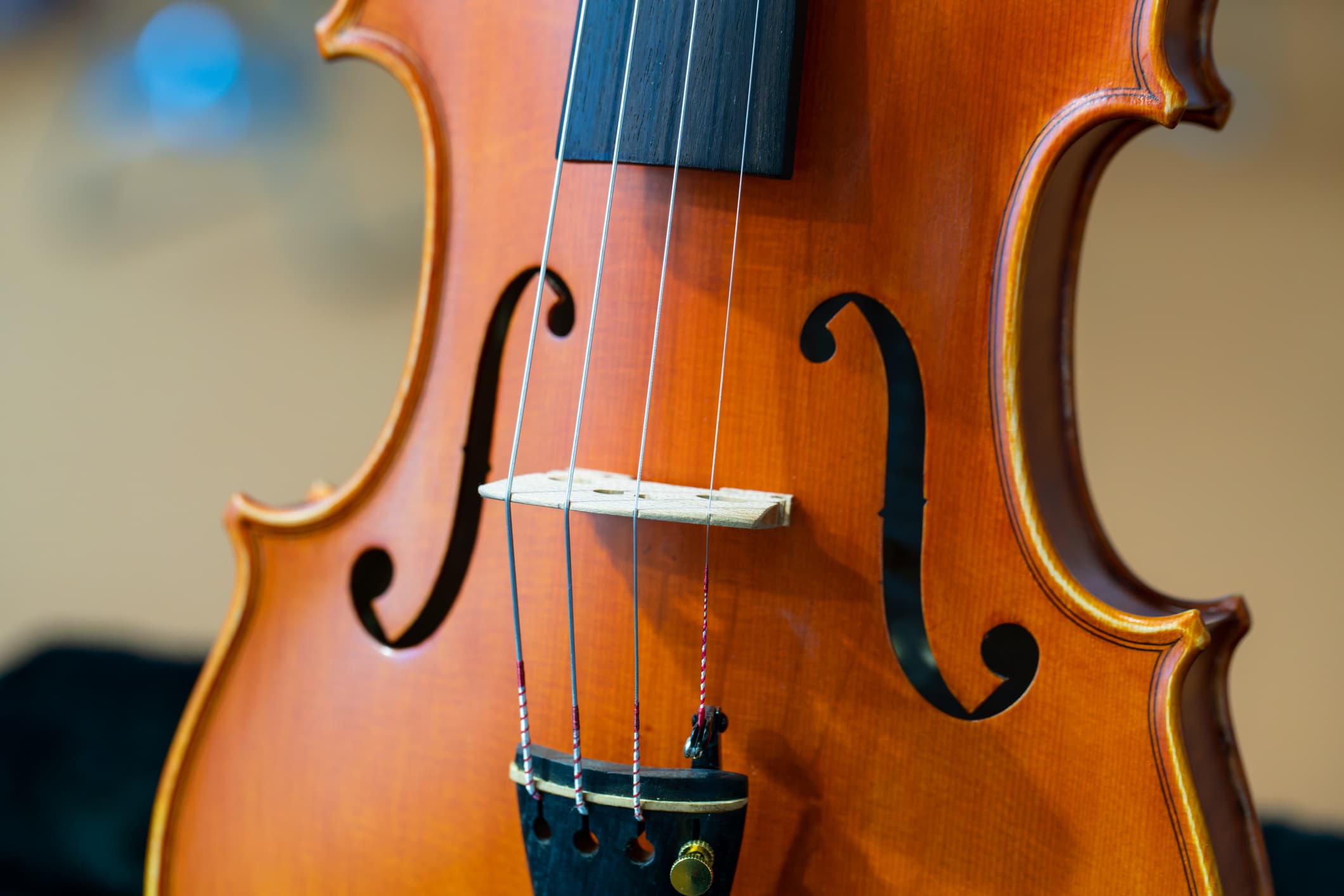 Close-up of violin